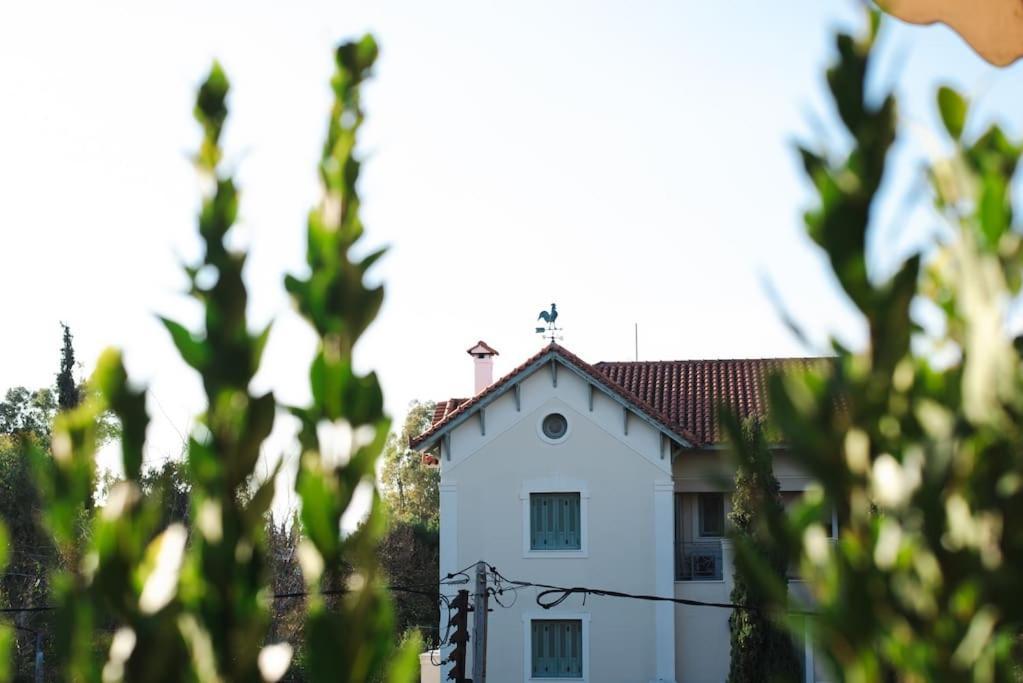 Central Kifissia Appεrol Malomar Homing เอเธนส์ ภายนอก รูปภาพ